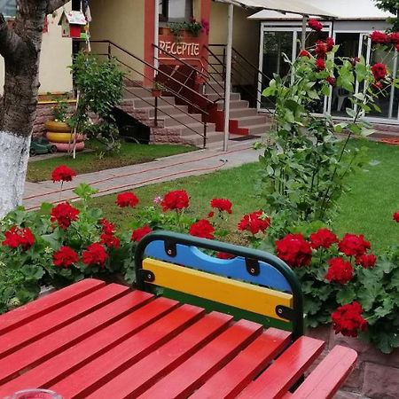 Copou Inn Iasi Buitenkant foto